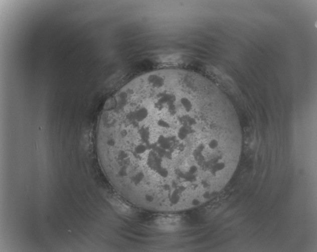 X0000074970369200609152128