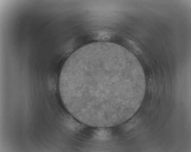 X0000074970370200609152128