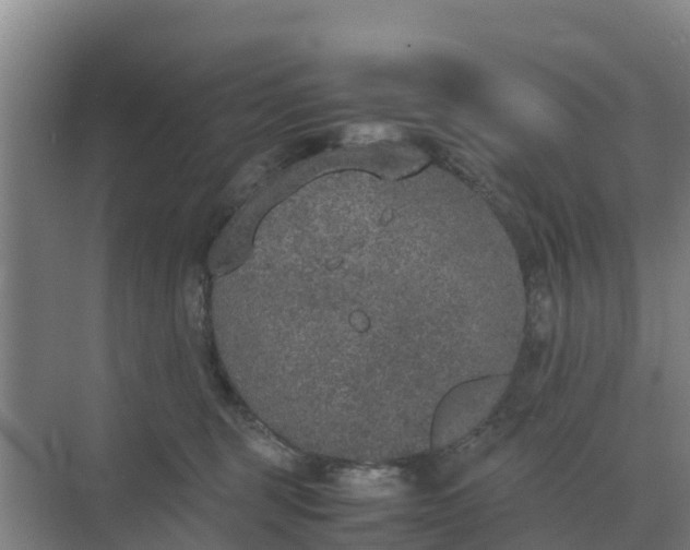 X0000074970375200609152129