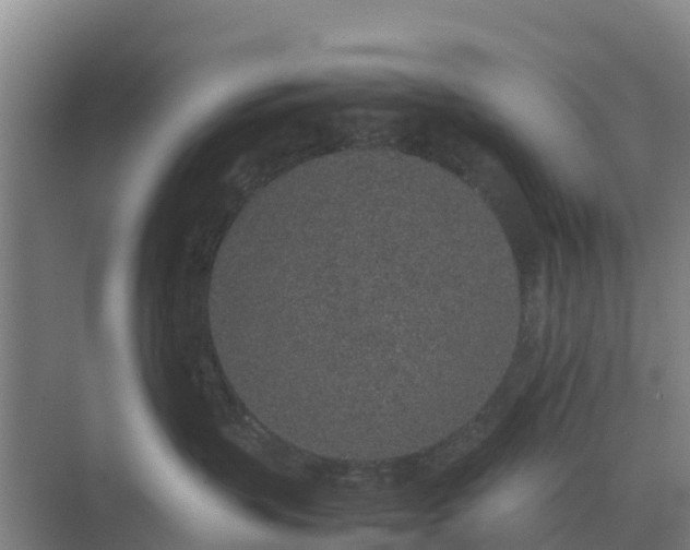 X0000074970383200609152129