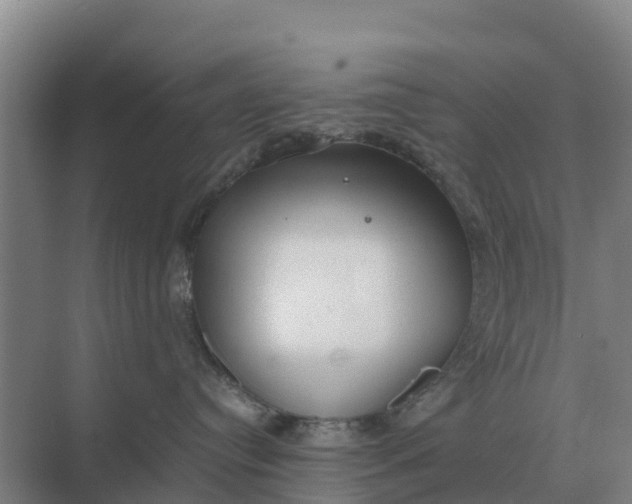 X0000074970384200609152129