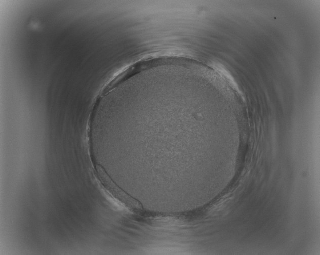 X0000074970389200609152128