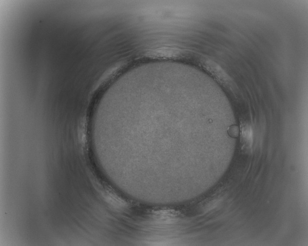 X0000074970396200609152128