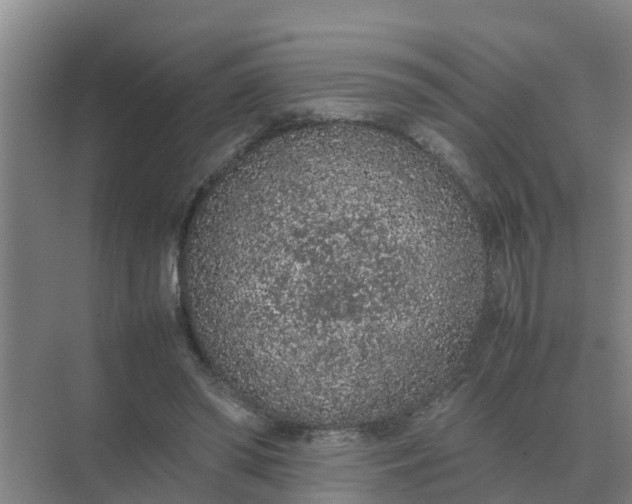 X0000074970398200609152128