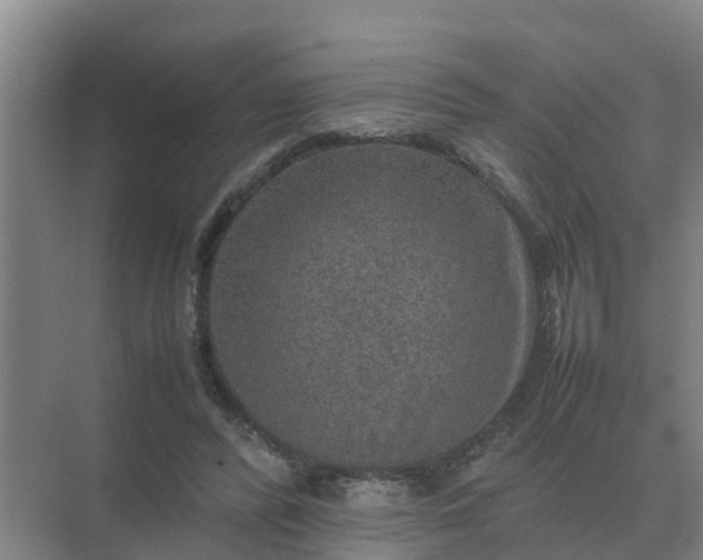 X0000074970400200609152128