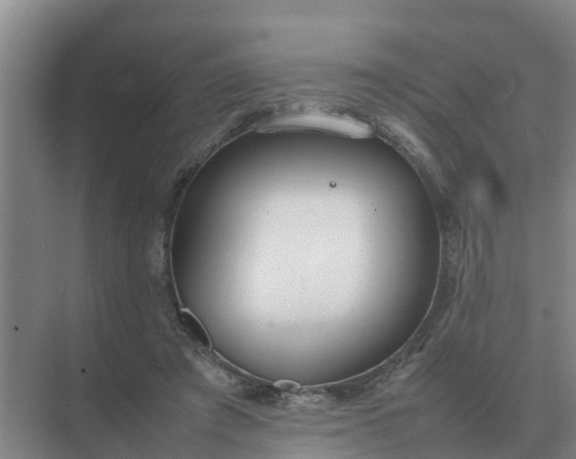 X0000074970401200609152128