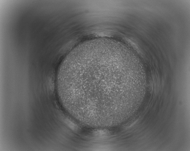 X0000074970402200609152128