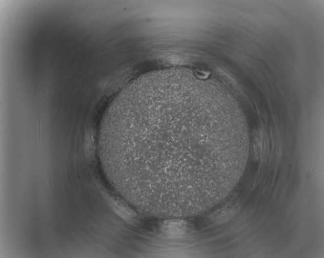 X0000074970410200609152128