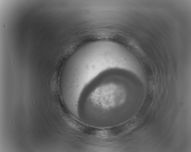 X0000074970411200609152127