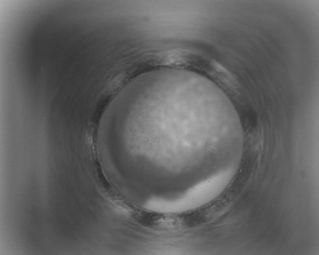 X0000074970415200609152127