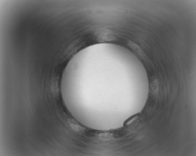 X0000074970426200609152127