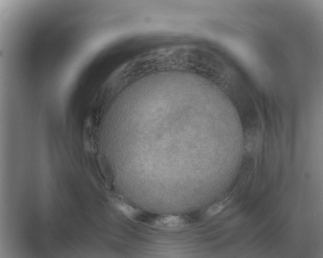 X0000074970431200609152127