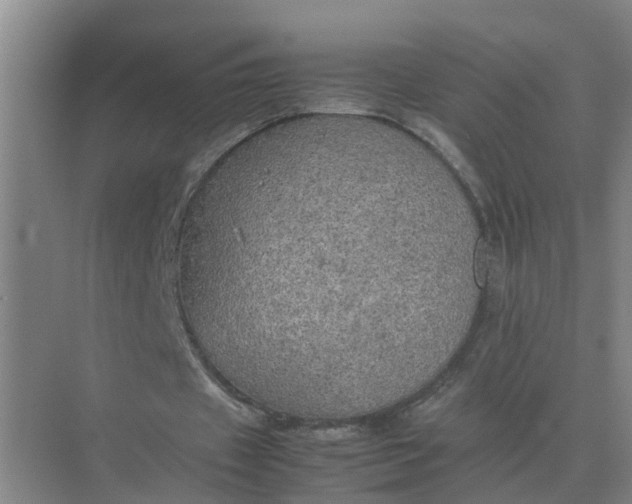 X0000074970433200609152126