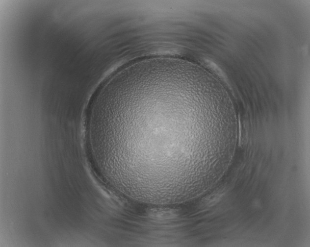 X0000074970435200609152126