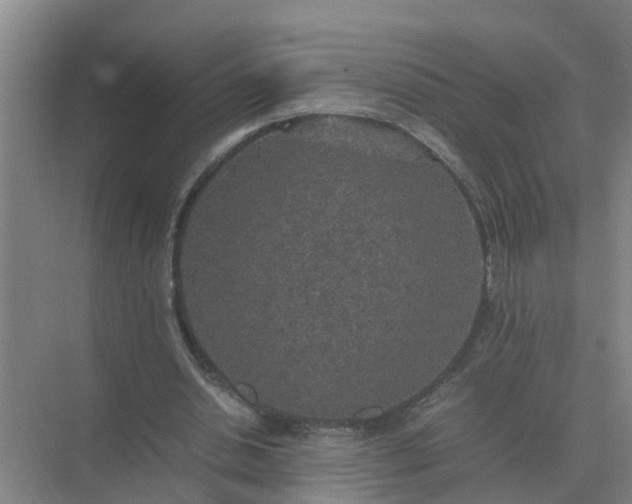 X0000074970438200609152126