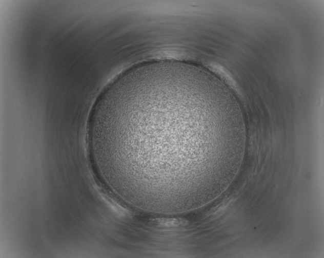 X0000074970439200609152126