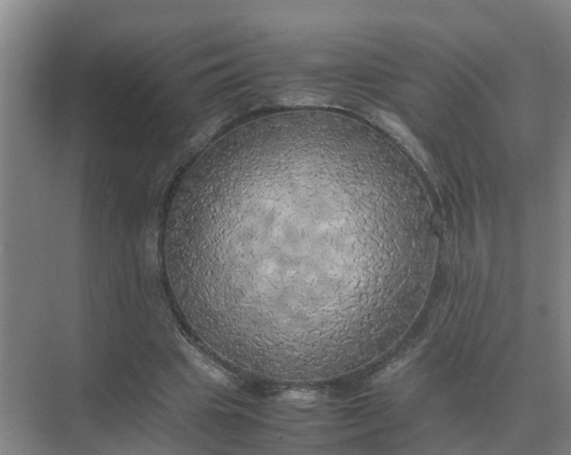 X0000074970441200609152126