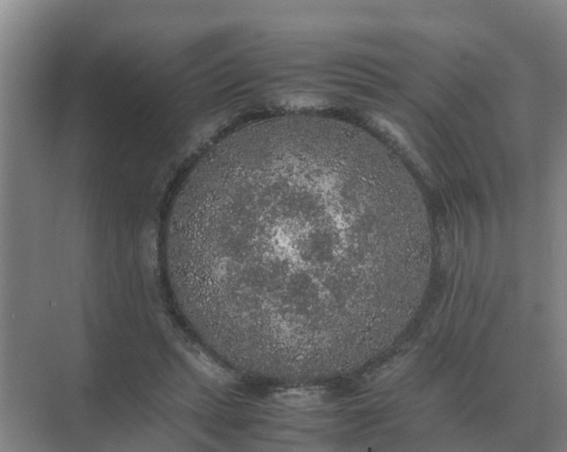 X0000074970447200609152127