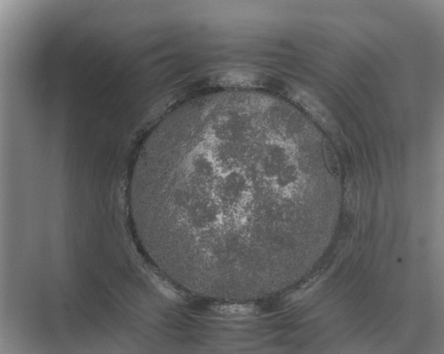 X0000074970449200609152127