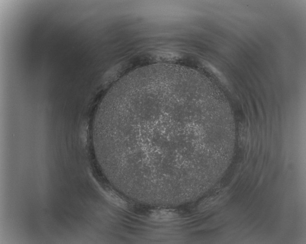 X0000074970451200609152127