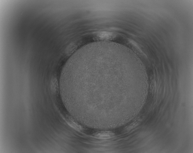 X0000074970459200609152127