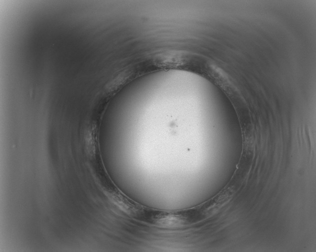 X0000074970460200609152127