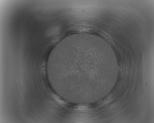 X0000074970462200609152127