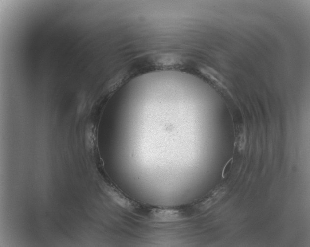 X0000074970476200609152127