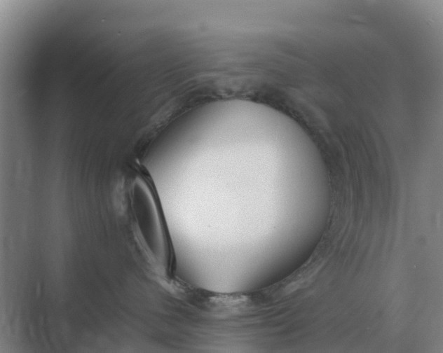 X0000074970480200609152127