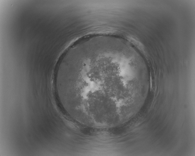 X0000074970483200609152126