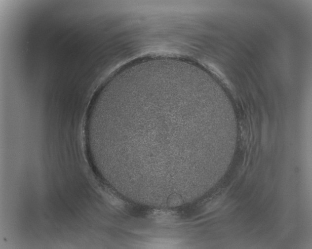 X0000074970487200609152126