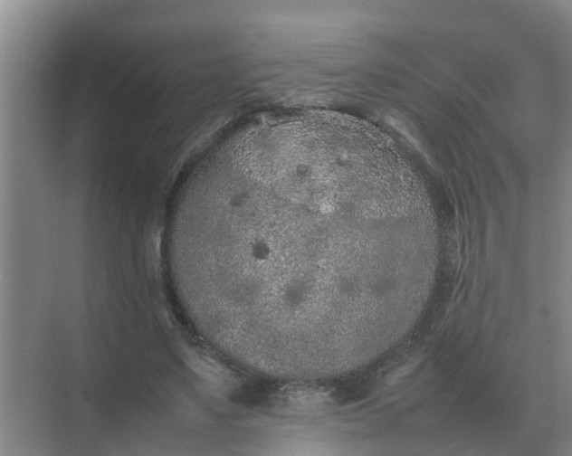 X0000074970491200609152126