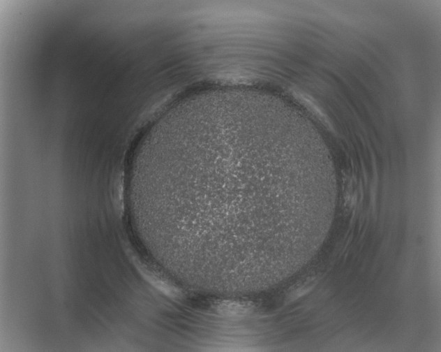 X0000074970494200609152126