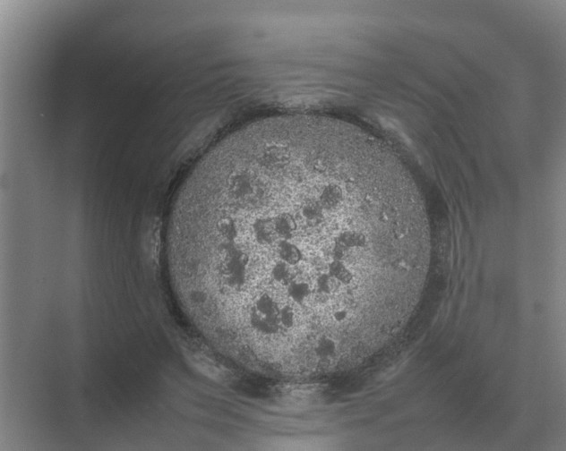 X0000074970495200609152126