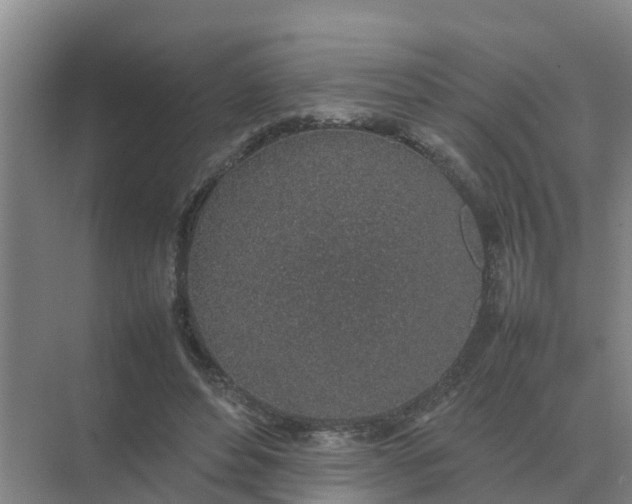 X0000074970496200609152126