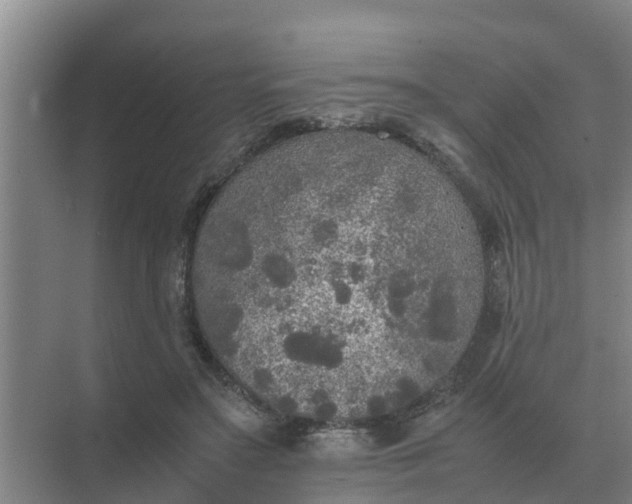 X0000074970499200609152126