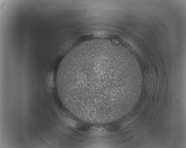 X0000074970502200609152126