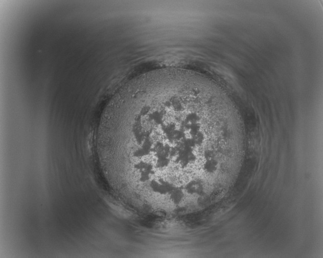 X0000074970503200609152126