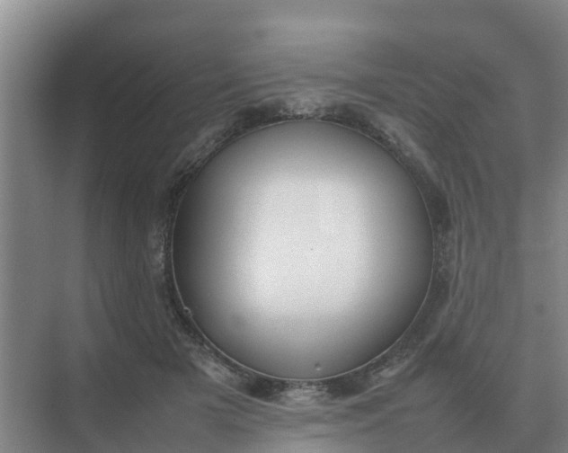 X0000074970505200609152126