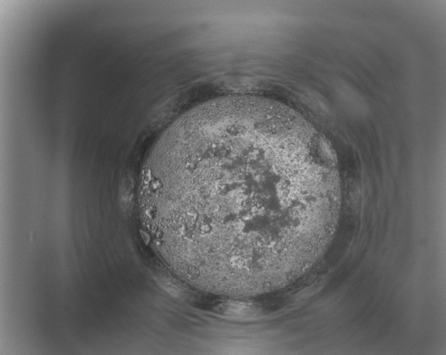 X0000074970507200609152126