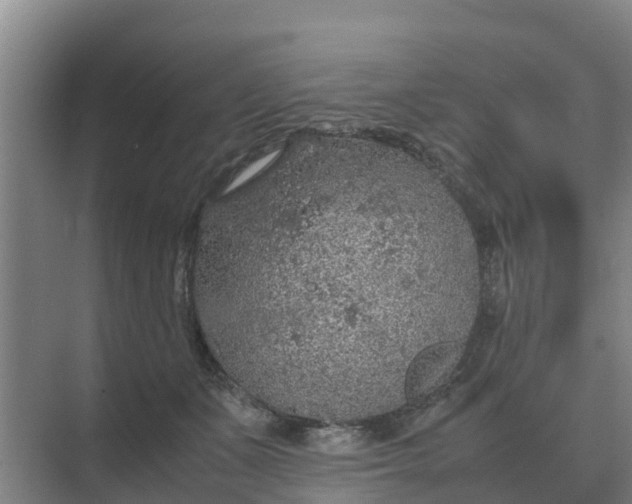 X0000074970511200609152126