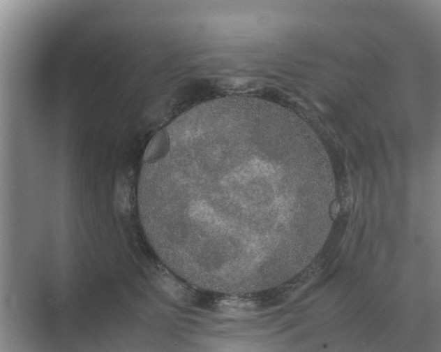 X0000074970515200609152126