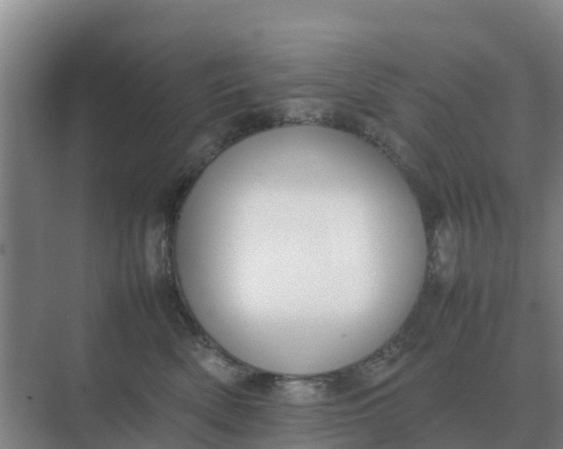 X0000074970522200609152126