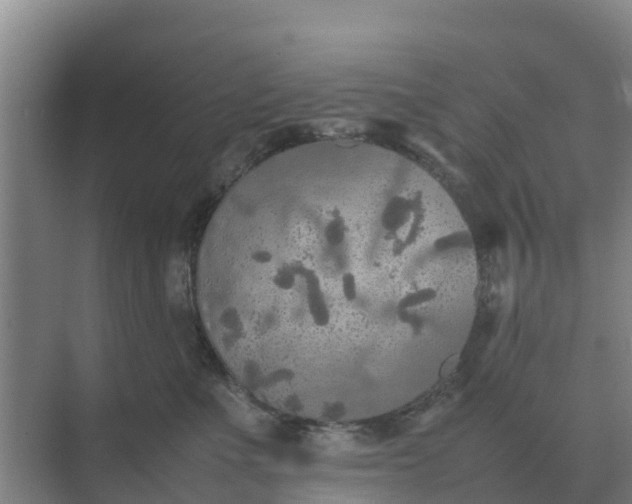 X0000074970523200609152126