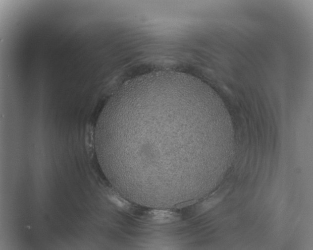 X0000074970528200609152126