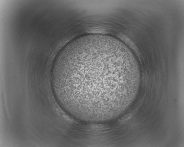 X0000074970529200609152125