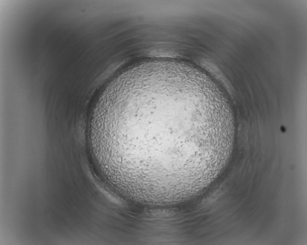 X0000074970533200609152125