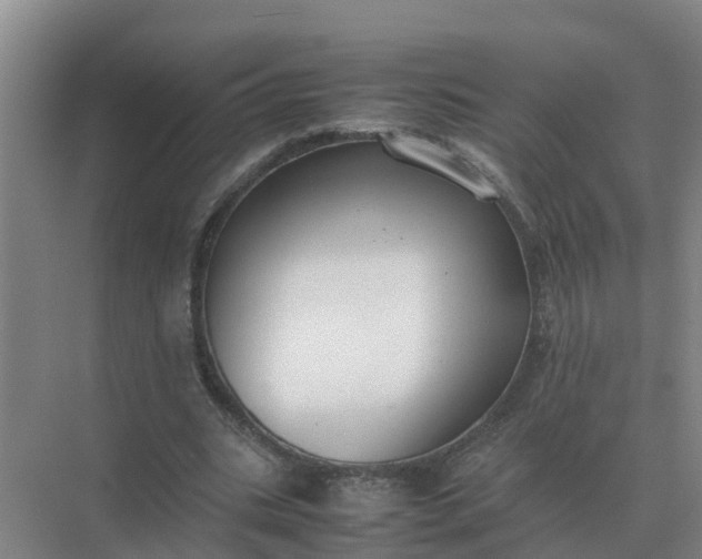 X0000074970535200609152125