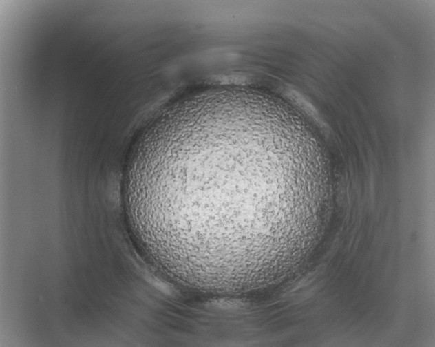 X0000074970537200609152125