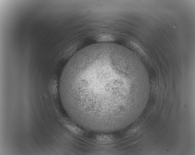 X0000074970549200609152125